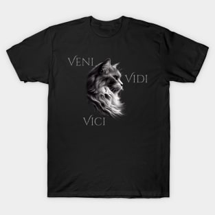 Veni - Vidi - Vici T-Shirt